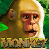 pp image